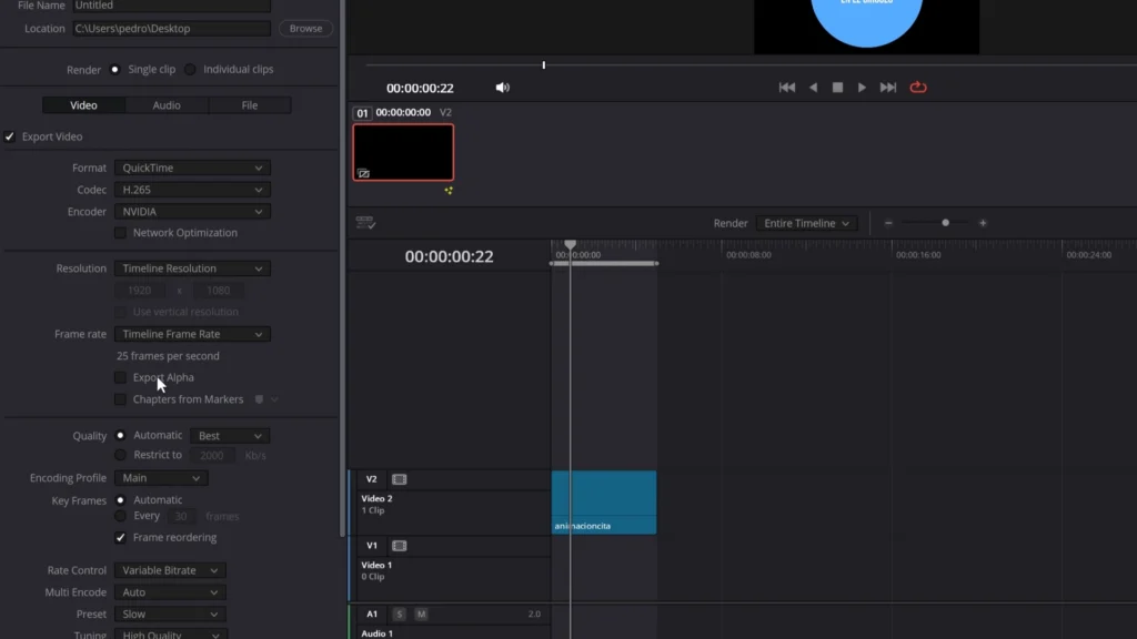 Activa la casilla de Export Alpha para que tus composiciones en vídeo tengan transparencia